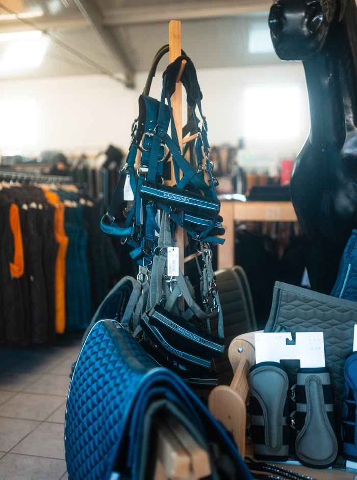 Halfter und Stallbedarf bei EQUIVERITA Reitsport Glauchau